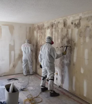 Professional Mold Remediation in Jensen Beach by K-Boys Construction